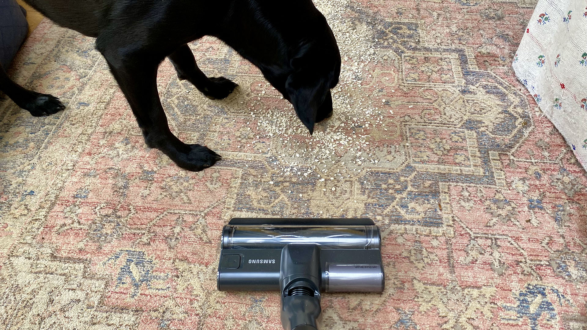 Samsung Jet 85 Pet vacuum cleaner, about to suck up some oats on a rug