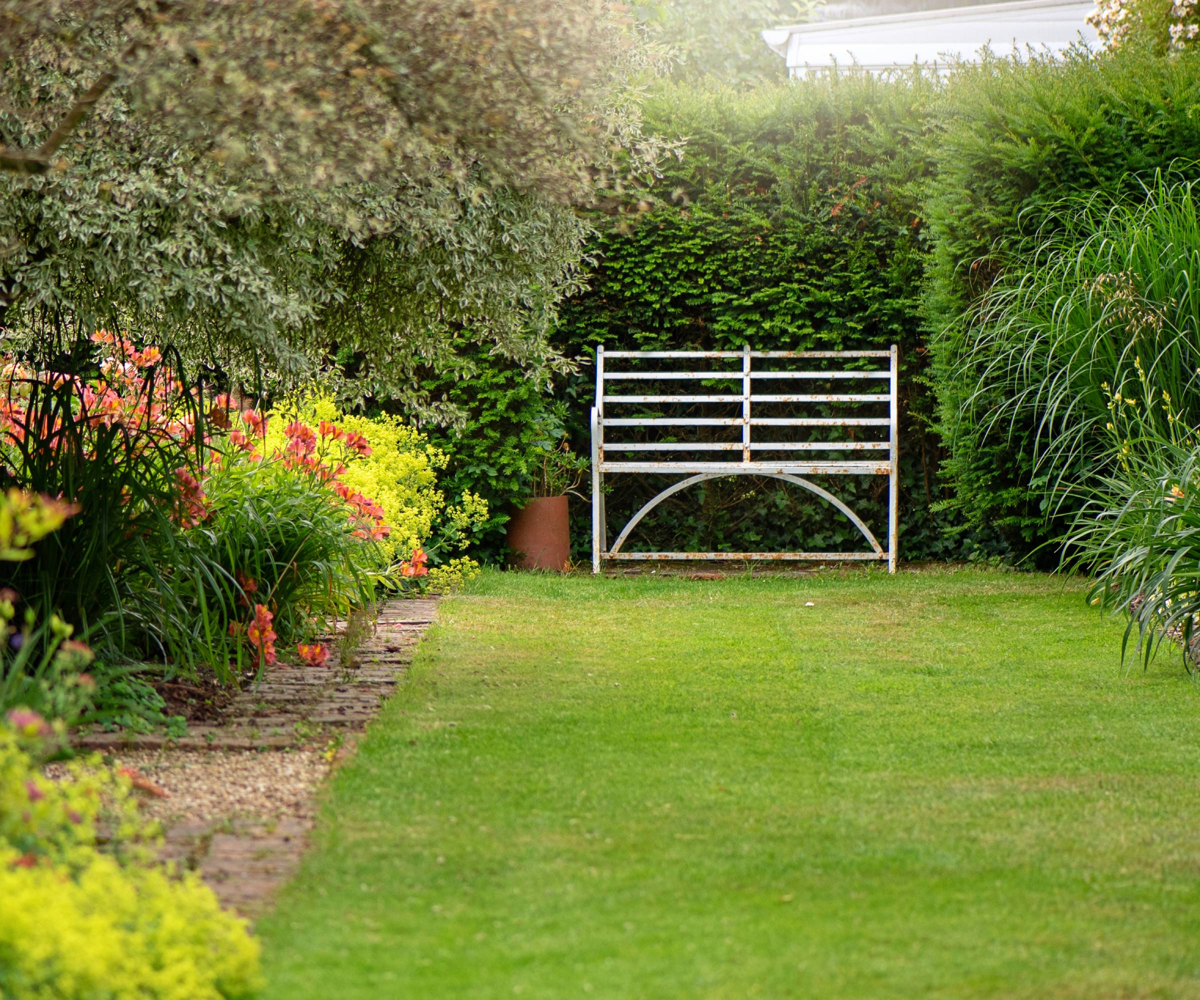 White metal bench sits amongst plants in formal garden