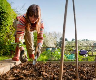 digging in vegetable garden