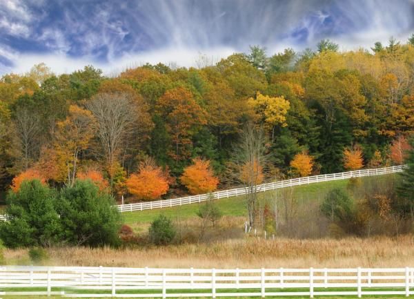 Perfect New England autumn weather and scenery at Pineland Farm