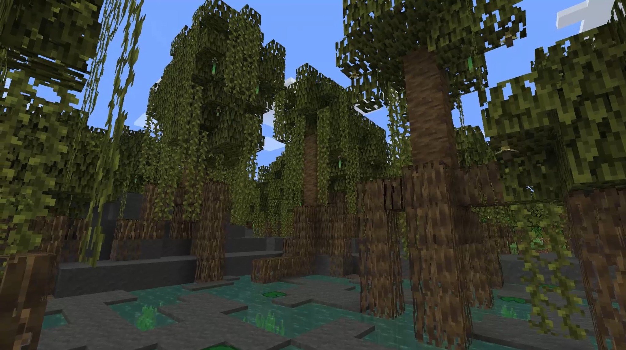 Minecraft Swamp