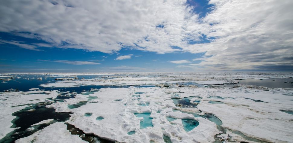 Freakishly Warm Weather in the Arctic Has Climate Scientists 'Stunned ...