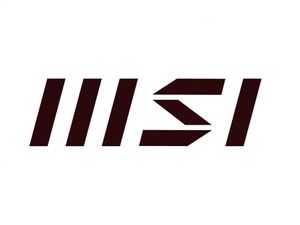 MSI Logo