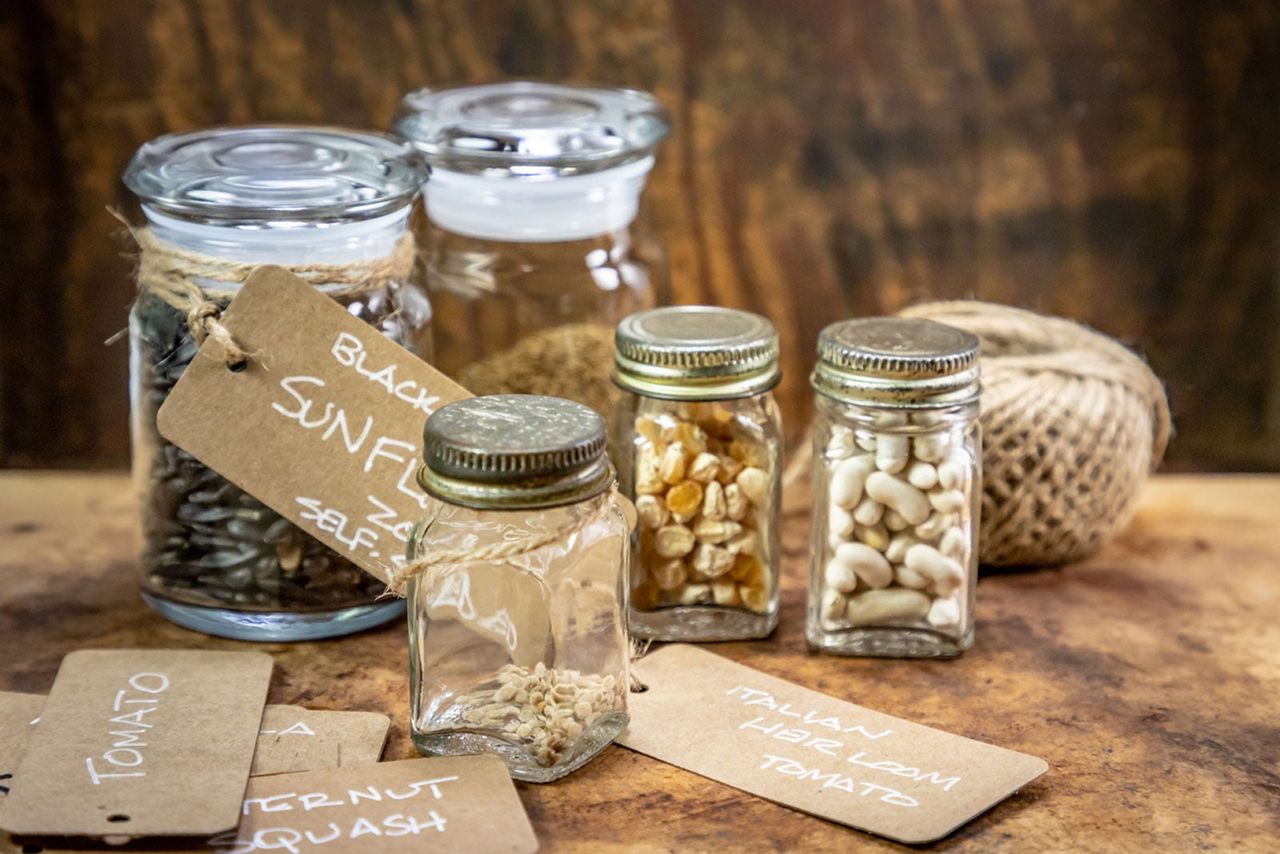 Small Containers Full Of Different Types Of Seeds