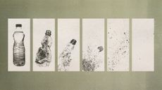 Photo collage of a plastic bottle decaying in six stages