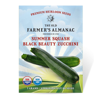 A packet of zucchini seeds