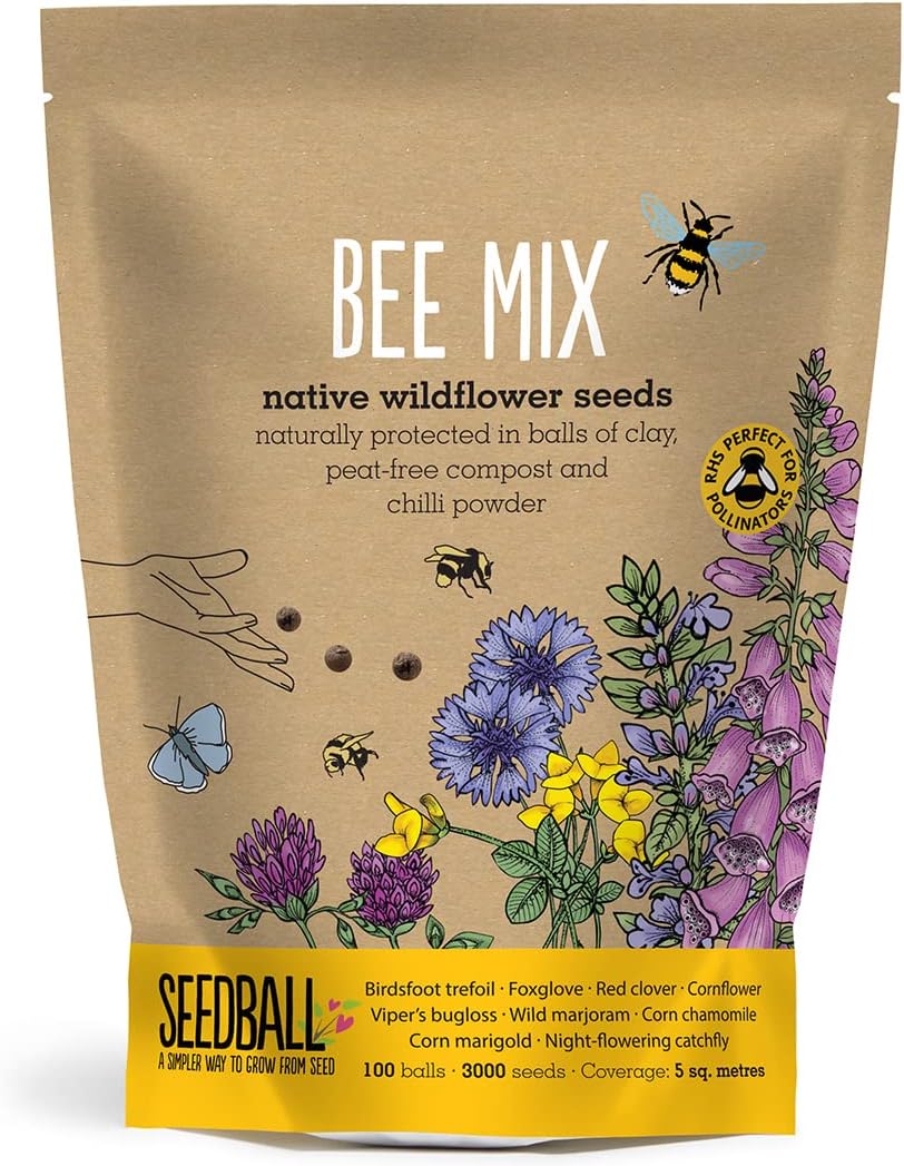 Seedball Bee Mix Seed Bombs - 100 Seed Balls Per Pack | Bee Friendly British Wildflower Seeds - Clay Seed Bomb Mix of Poppy, Chamomile, Cornflower, Corn Marigold &amp;amp; Night&amp;ndash;flowering Catchfly