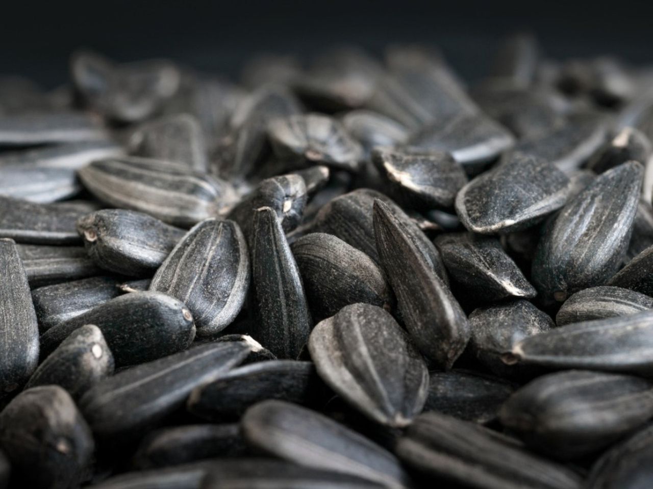 Pile Of Black Sunflower Seeds