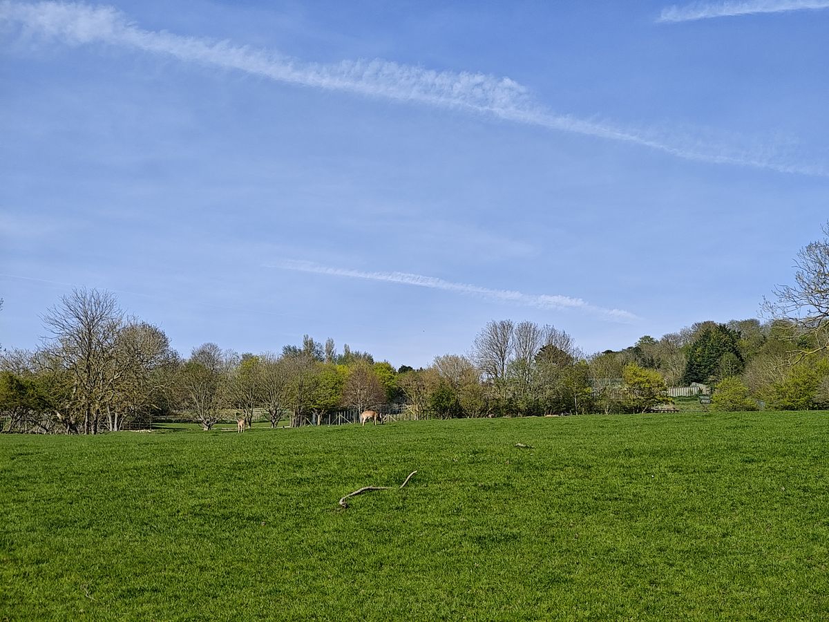A photo taken on the Motorola Edge 40 Pro