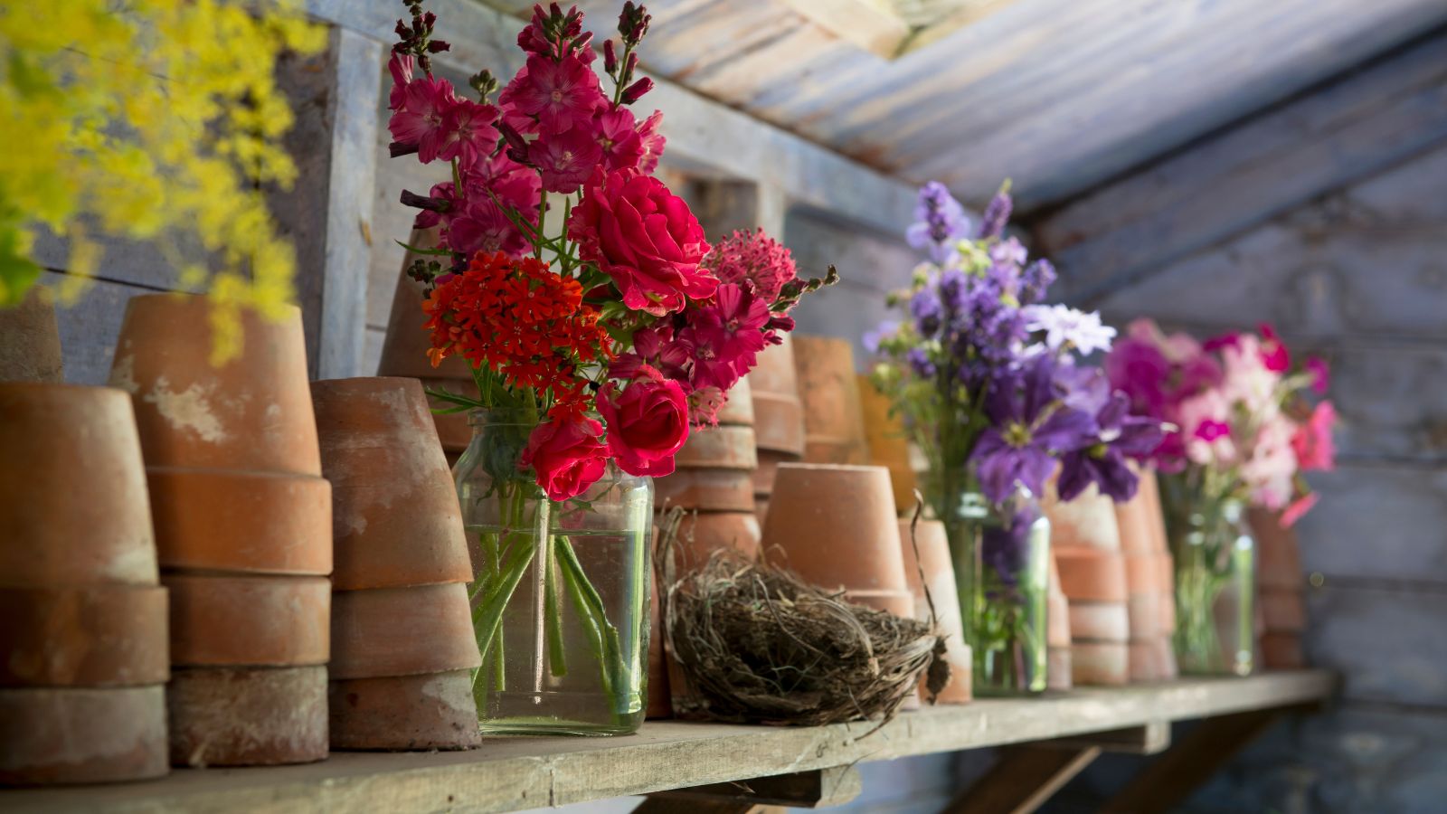 a garden shed containing flowers and flower pots