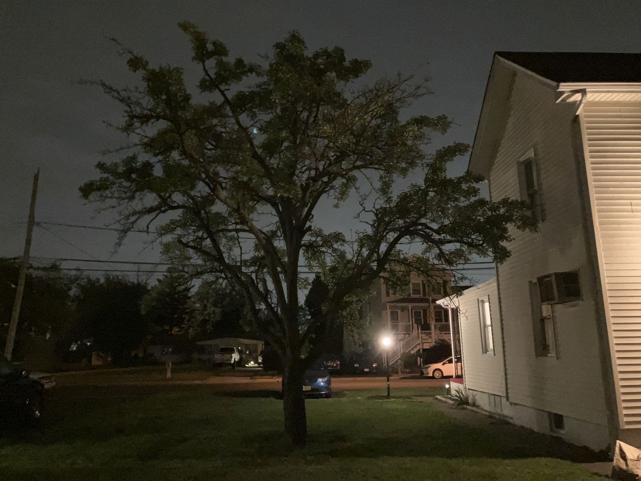 Apple iPhone SE (2022) low light sample.