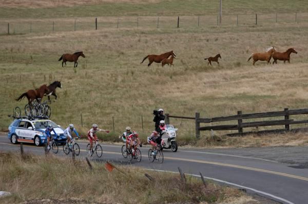 The break had some company along the route today