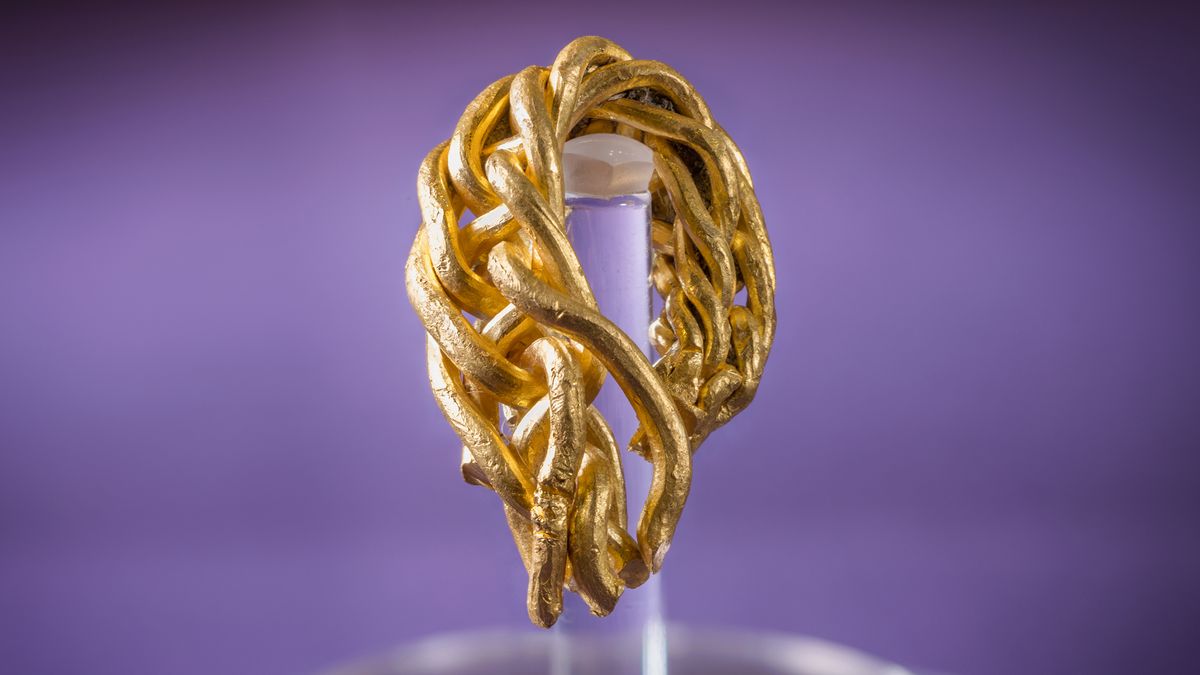 Braided gold Viking arm-ring discovered by amateur metal detectorist on Isle of Man