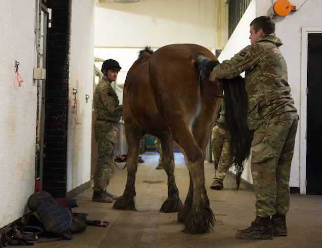 APOLOND-2018-004-Horses-Return-From-Melton-Mowbray-1353.jpg