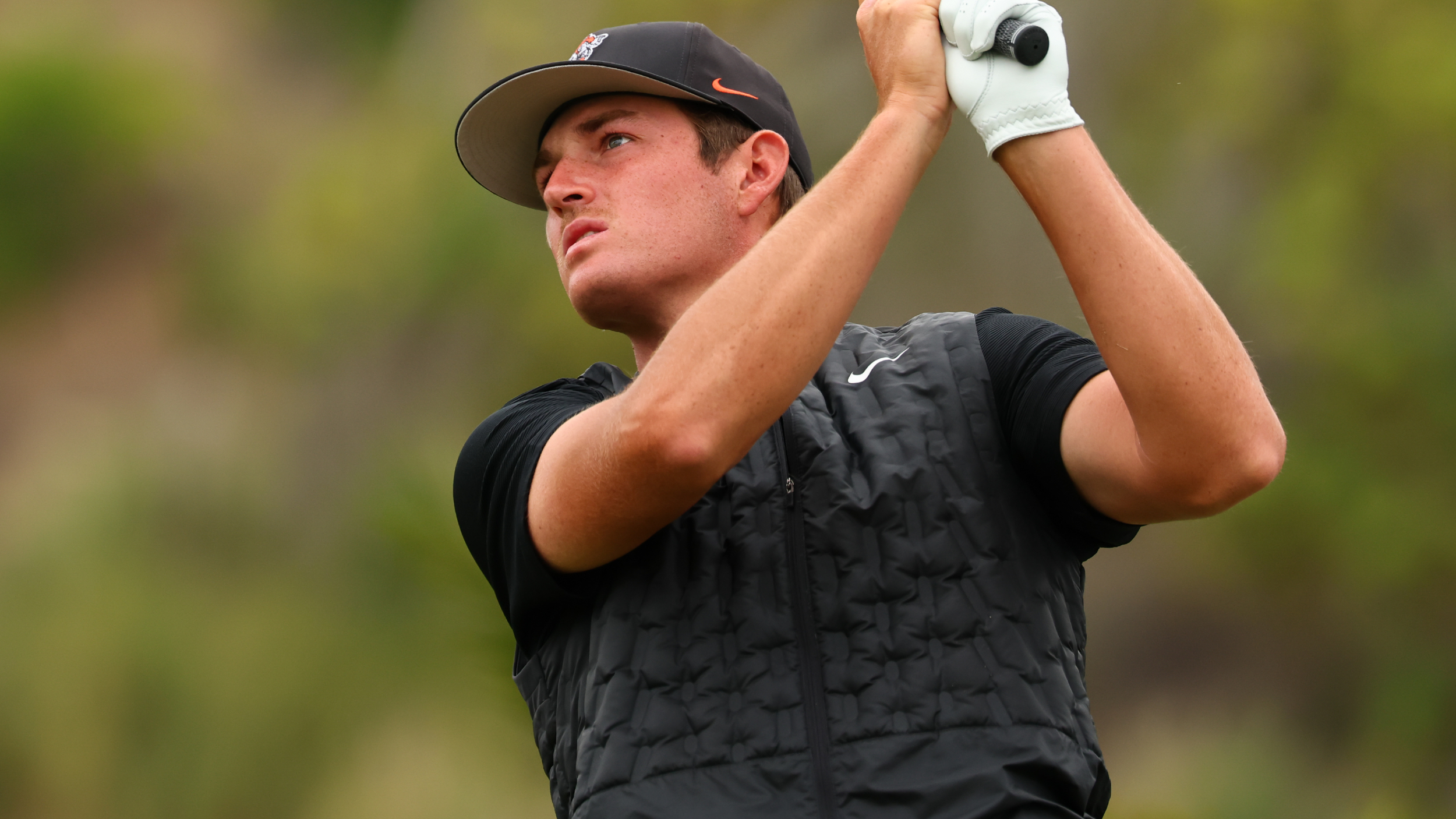 Preston Stout