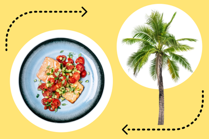 a collage of the South Beach diet