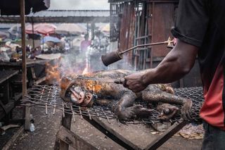 Mandrill bushmeat cooking on a barbeque