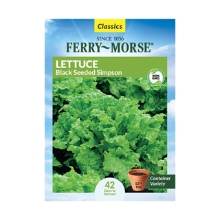 A packet of lettuce leaf seeds 