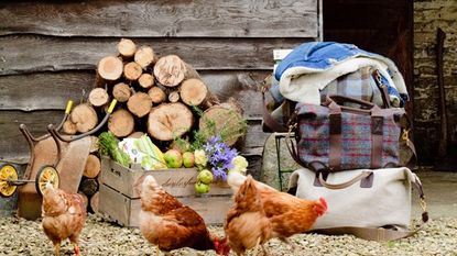 chickens with hand trolley and bags