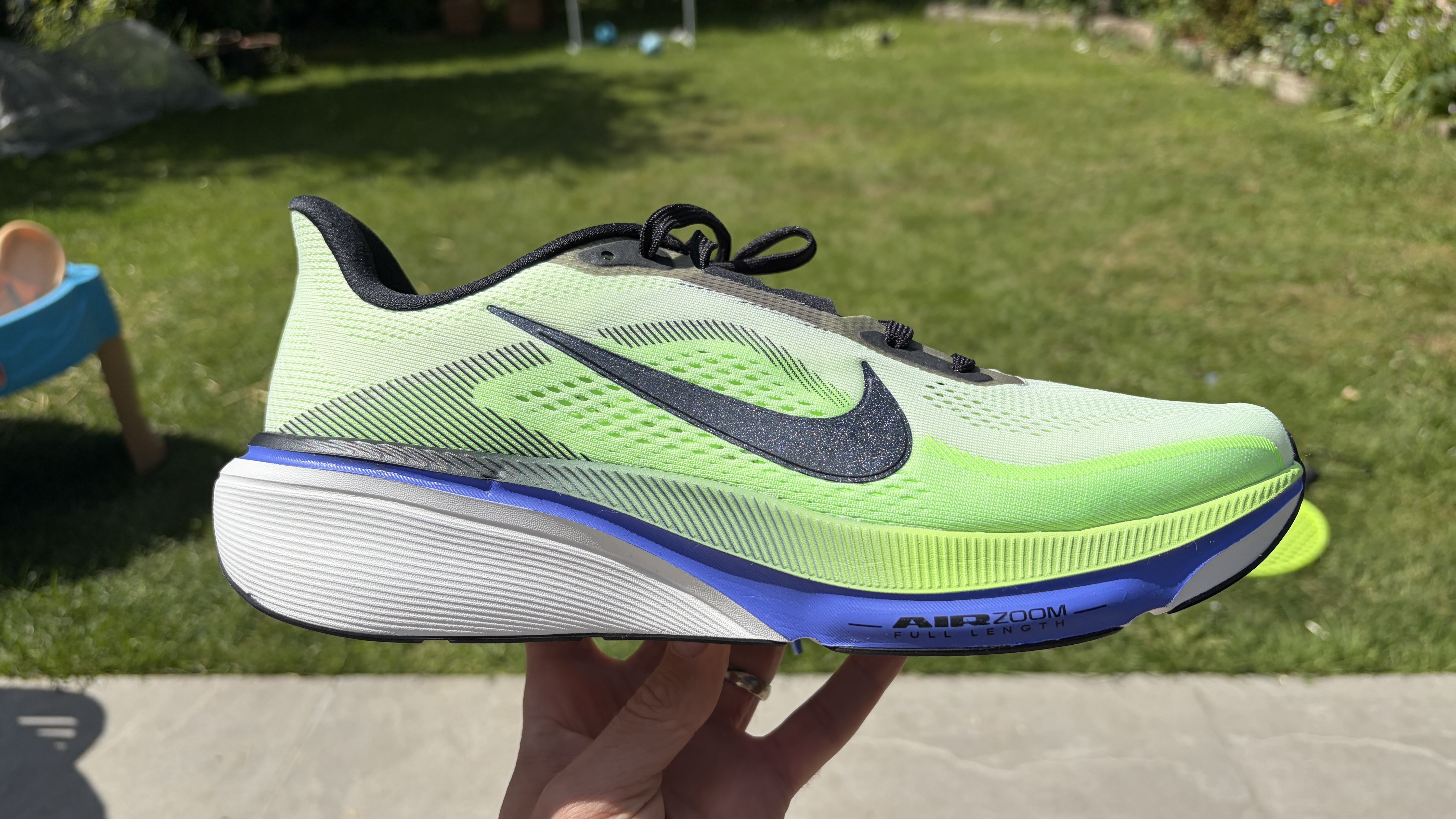 Nike Pegasus 42