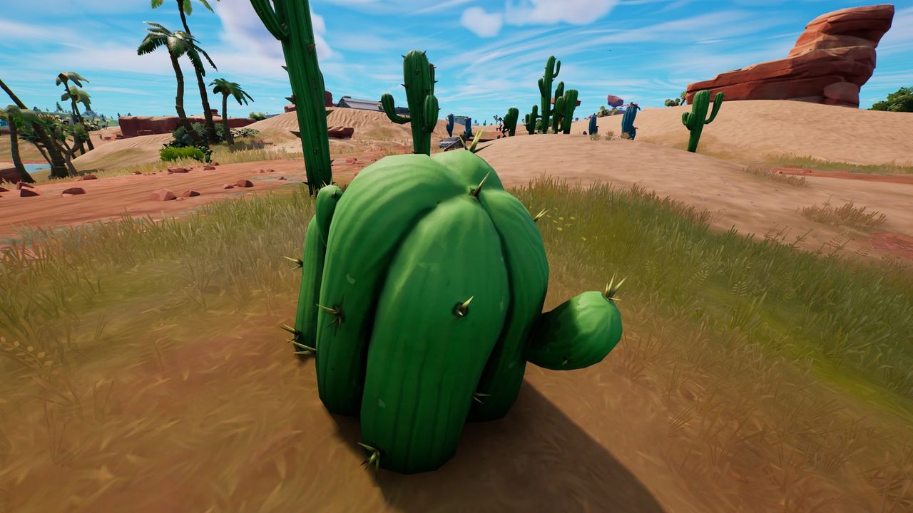fortnite cactus locations
