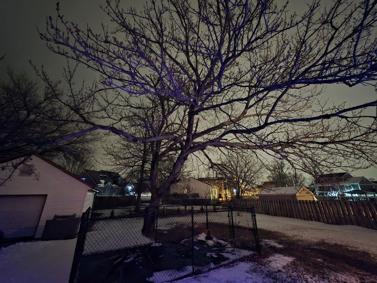 Samsung Galaxy S25 Ultra low light sample.