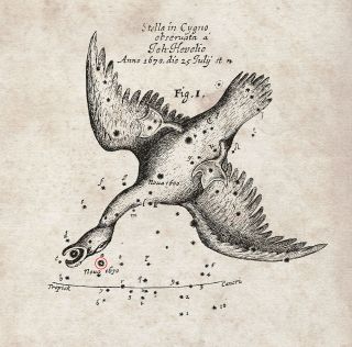 A chart showing the position of a "nova" that appeared in 1670 and was dubbed Nova Vul 1670. It would later be renamed CK Vulpeculae. Its location was recorded by the famous astronomer Hevelius and was published by the Royal Society in England in its journal Philosophical Transactions.