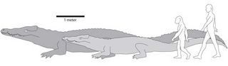 worlds largest crocodile, what is the biggest crocodile ever, new crocodile species, prehistoric species, earth, animals