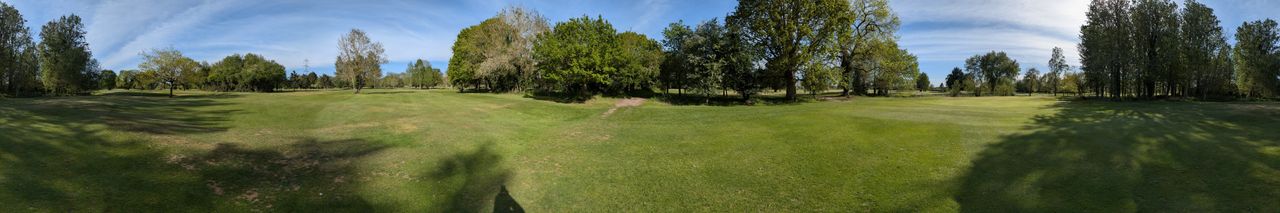 pixel 10 vs nothing phone 4a pro shootout pano