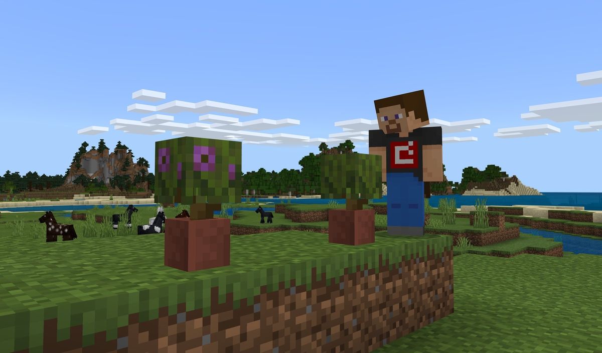 Minecraft to begin (and possibly never end) with a beta on XBLA