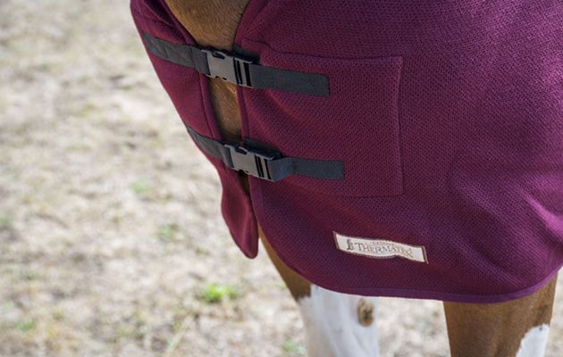 Thermatex Duet Cooler Rug review