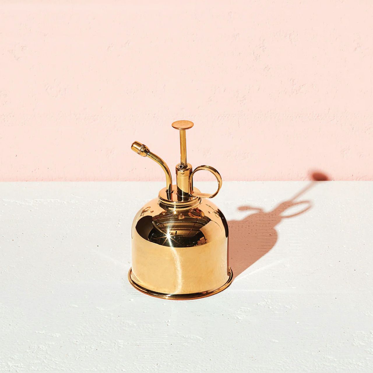 Brass Mister oleh The Sill dengan latar belakang merah muda