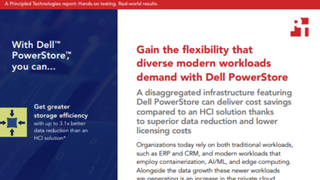 Gain the flexibility that diverse modern workloads demand with Dell PowerStore