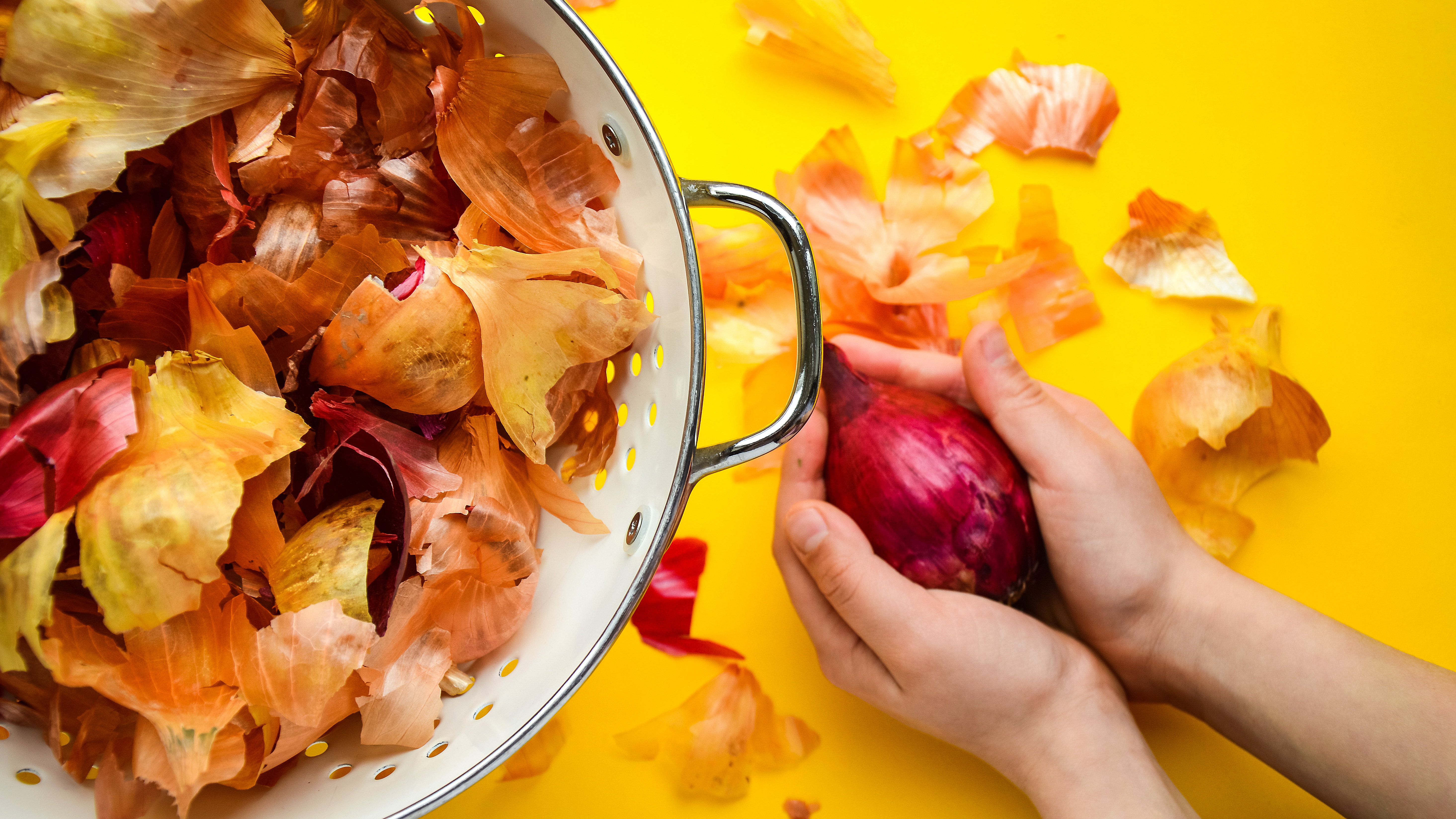 Bowl of onion peels and someone holding a red onion