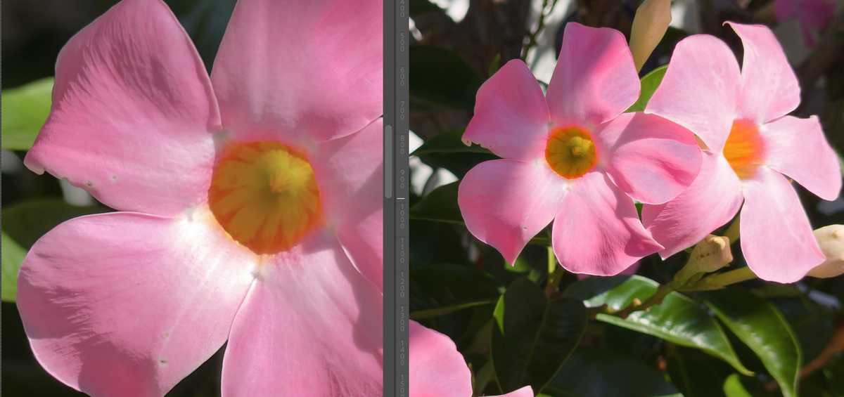 Images RAW test