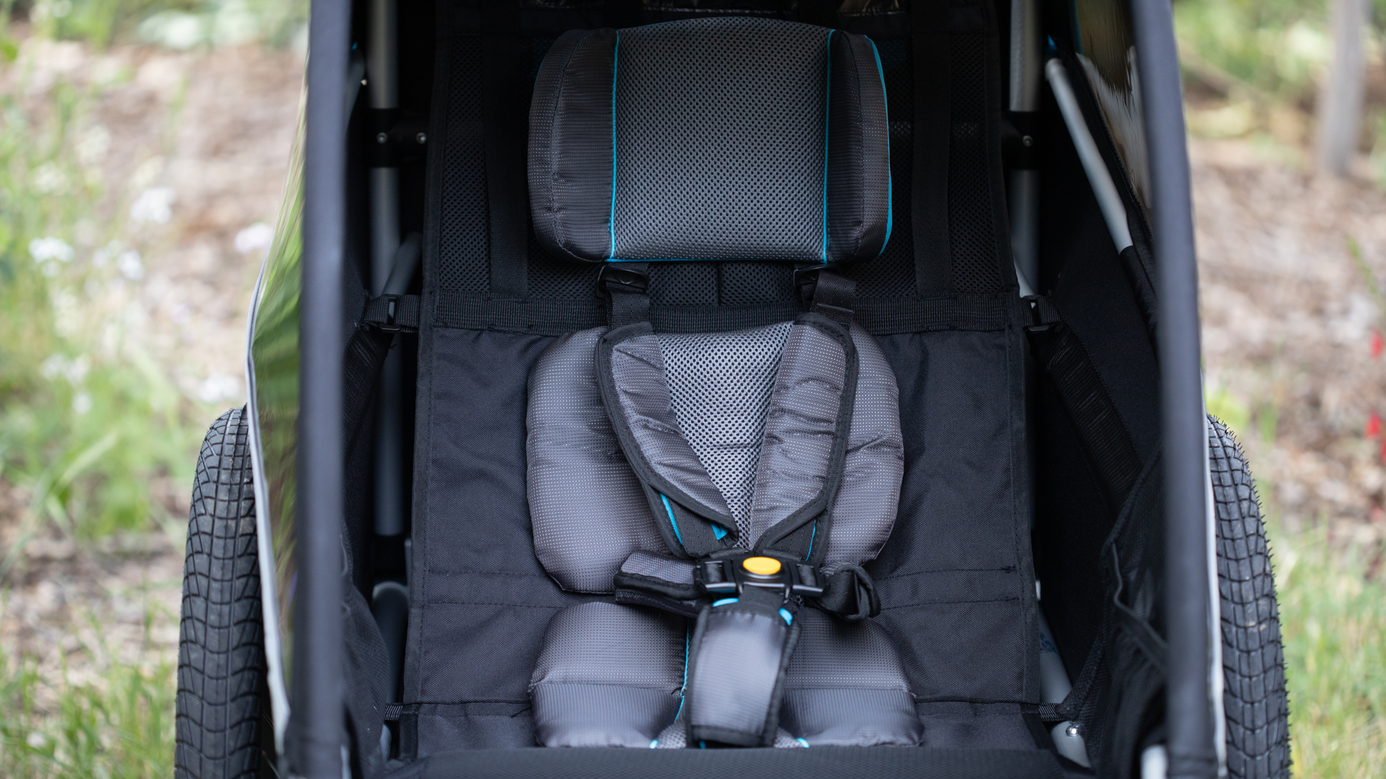Best bike trailer for kids - Burley D’Lite X bike trailer inside view