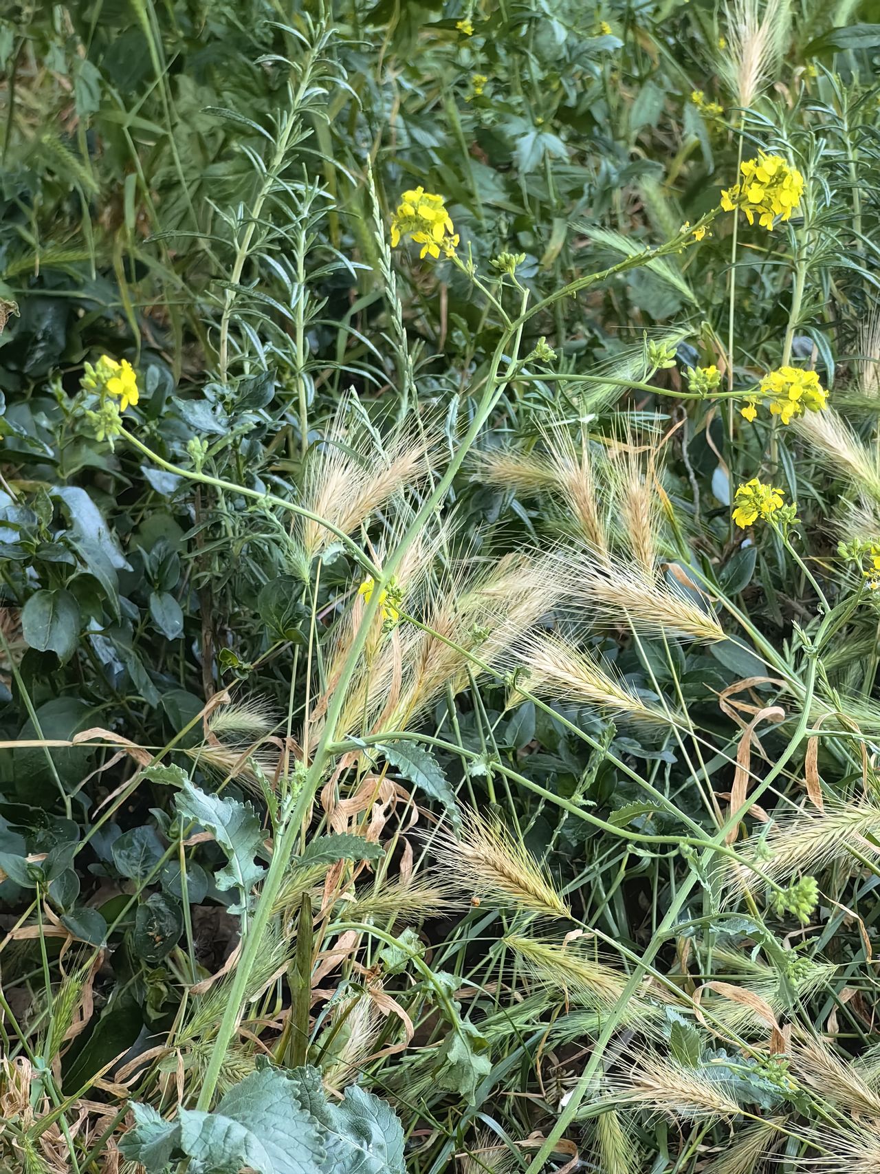 A photo taken on the Huawei Mate X3's telephoto camera