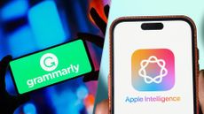 Grammarly and Apple Intelligence logos together