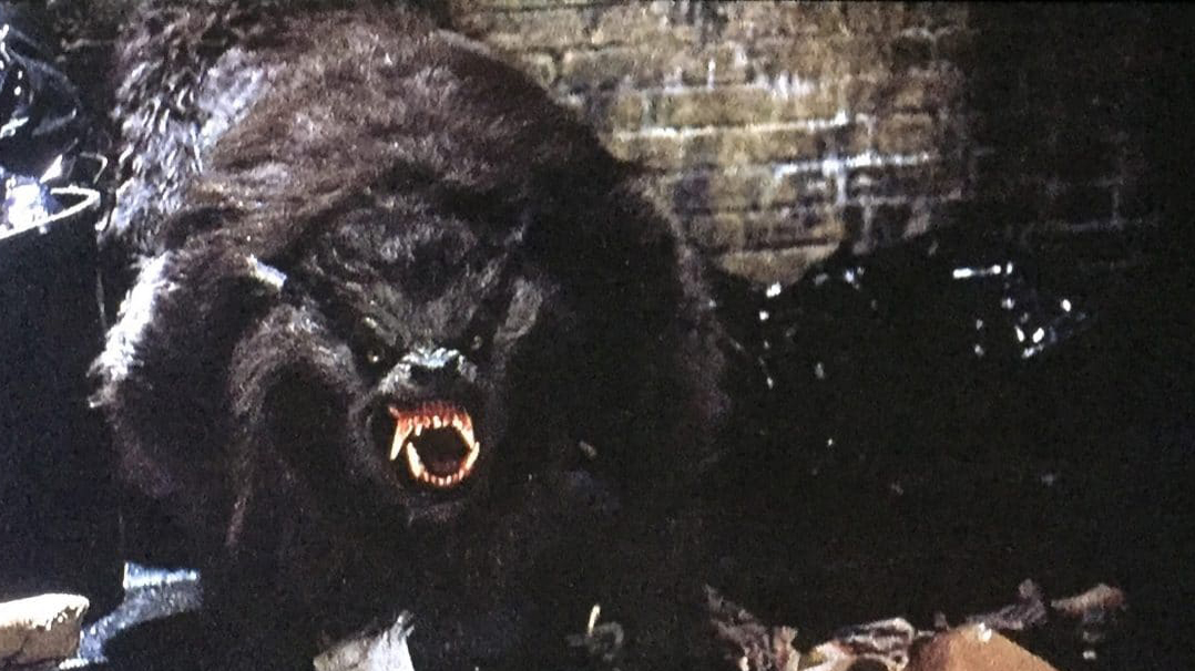 An American Werewolf in London