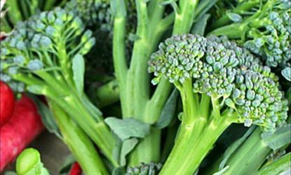 A new breed of fat-fighting broccoli