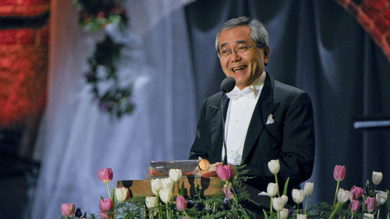 Ei-ichi Negishi was awarded a Nobel Prize in 2010