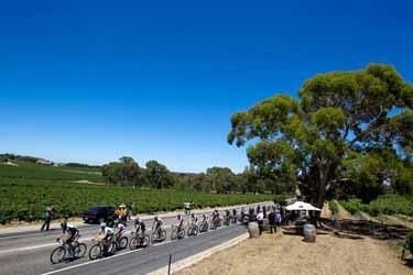 Stage 1 made its way through vineyards.