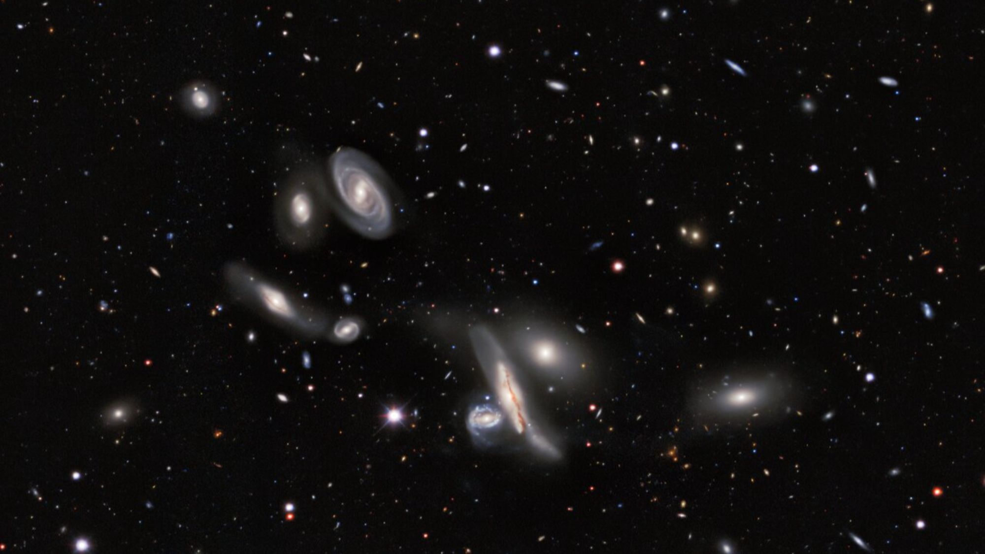 A dark sky speckled with lots of glowing dots. in the foreground, a bunch of hazy blobs of different shapes and sizes.