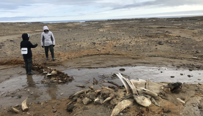 Two researchers look over a pile of whale remains.