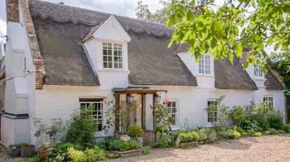 exterior of pretty whitewashed thatched cottage with roses growing up by front door