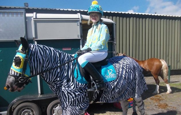 racingstripes