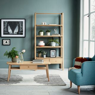 living area with teal grey wall and ladder book shelve and wooden floor