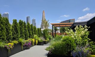 narrow garden ideas on a roof terrace planted with trees in New York