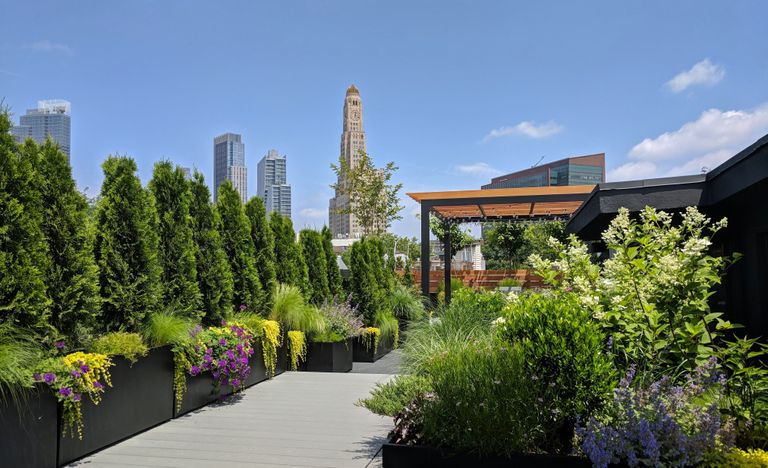 Narrow garden ideas - America's best rooftops and backyards | Livingetc