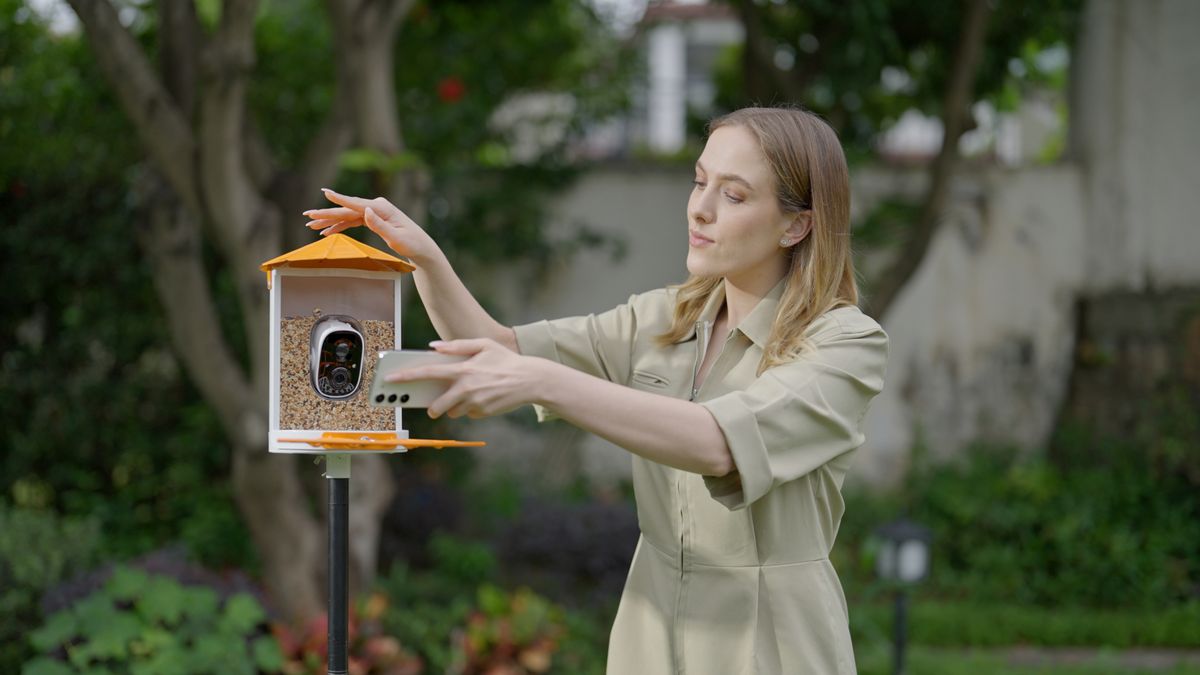 Picture of the Birdkiss bird feeder with smart camera